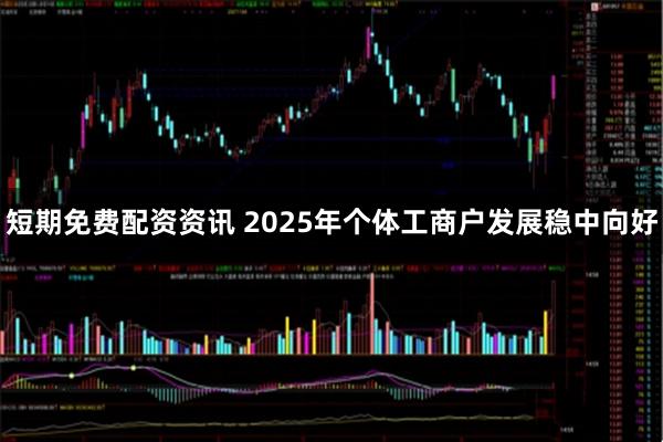 短期免费配资资讯 2025年个体工商户发展稳中向好