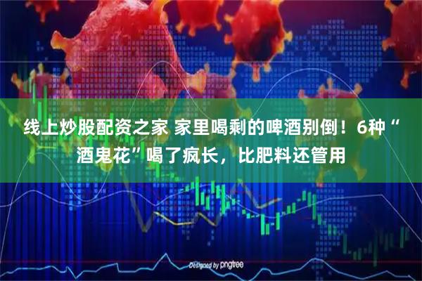 线上炒股配资之家 家里喝剩的啤酒别倒！6种“酒鬼花”喝了疯长，比肥料还管用