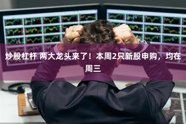 炒股杠杆 两大龙头来了！本周2只新股申购，均在周三